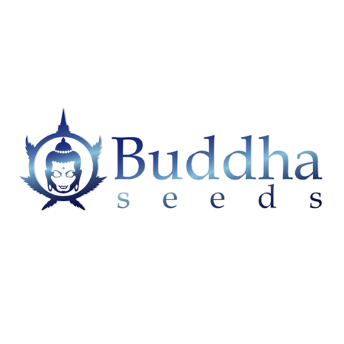 Buddha Seeds